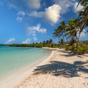 Contoy Island Nature Experience