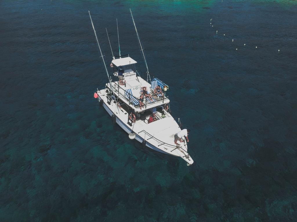 About 2El Cielo Private Snorkeling Sea Ray Yacht For 15 30 People2