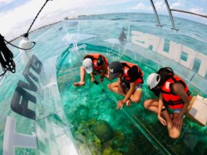 Transparent Boat Snorkeling in Cozumel - Image 4